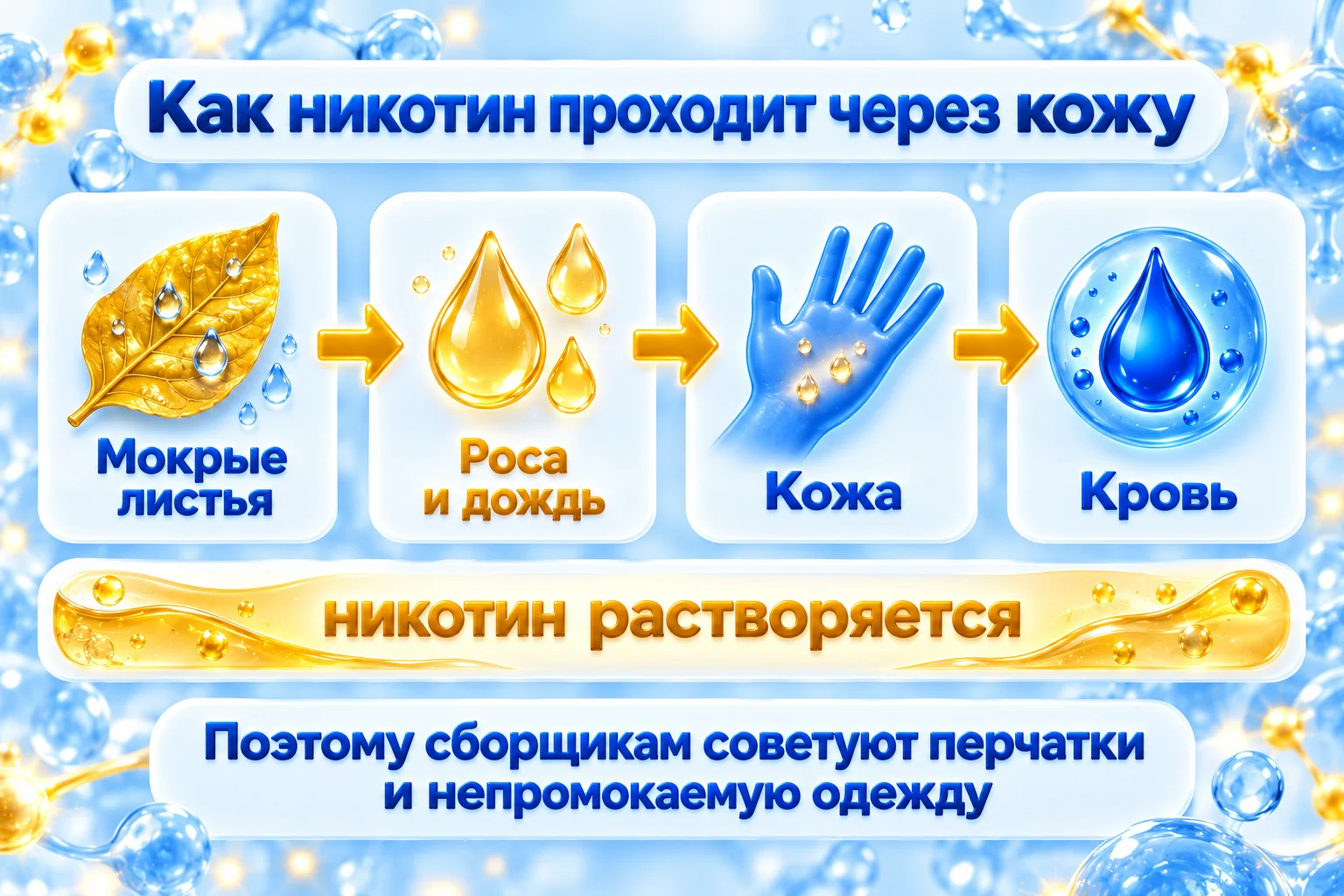 Как никотин проходит через кожу: с мокрых листьев табака в росу и дождевую воду, потом через кожу в кровь