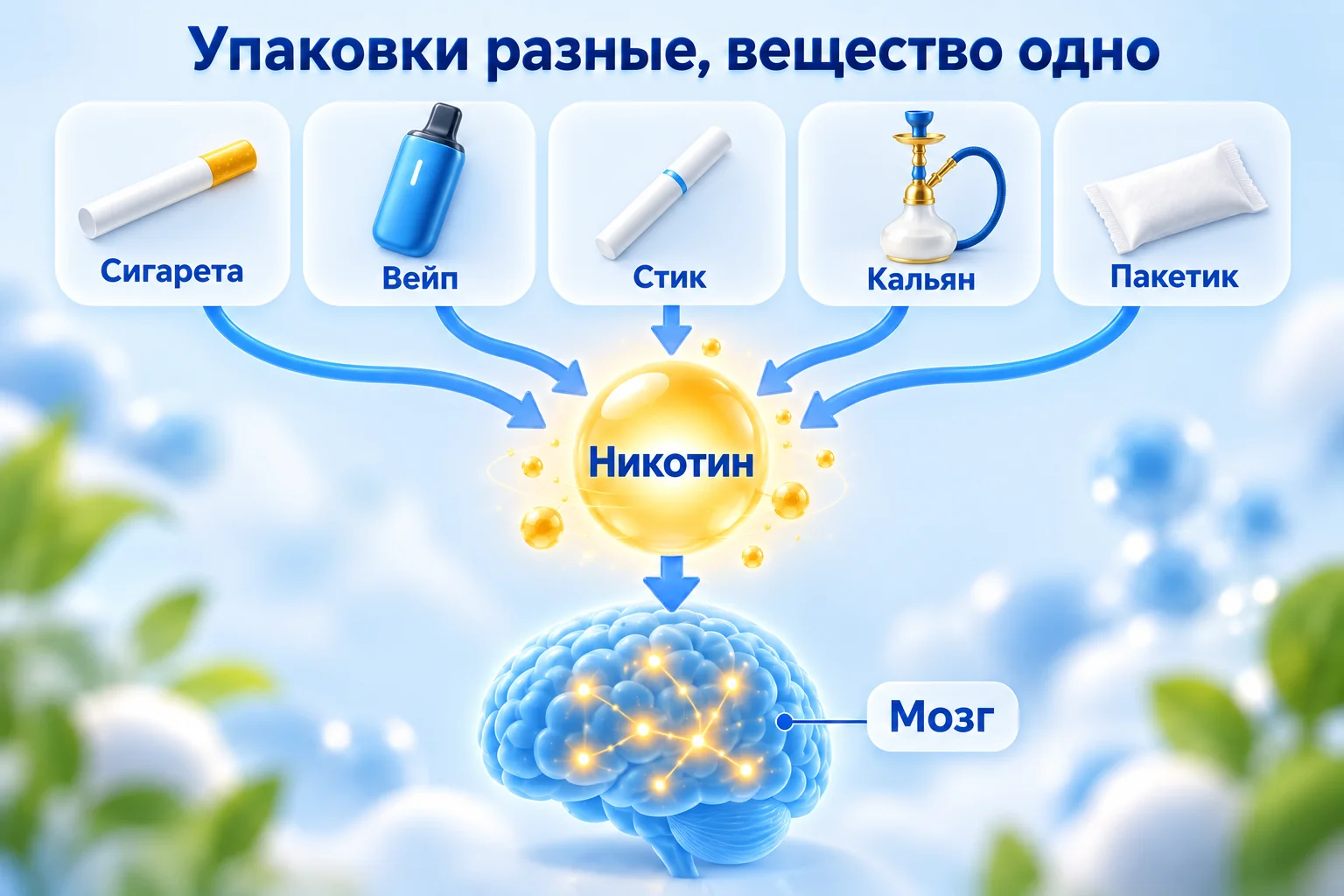 Что такое никотин: сигарета, вейп, стик, кальян и пакетик ведут к одному веществу, а оно к мозгу