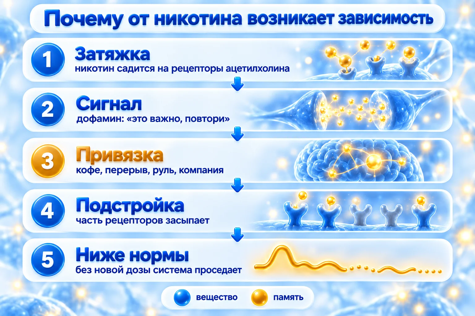 Почему от никотина возникает зависимость: пять шагов, затяжка, сигнал, привязка, подстройка, ниже нормы