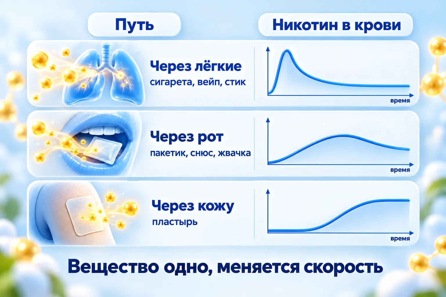 Три пути никотина в организм: через лёгкие быстро, через рот плавно, через кожу с задержкой и ровным фоном