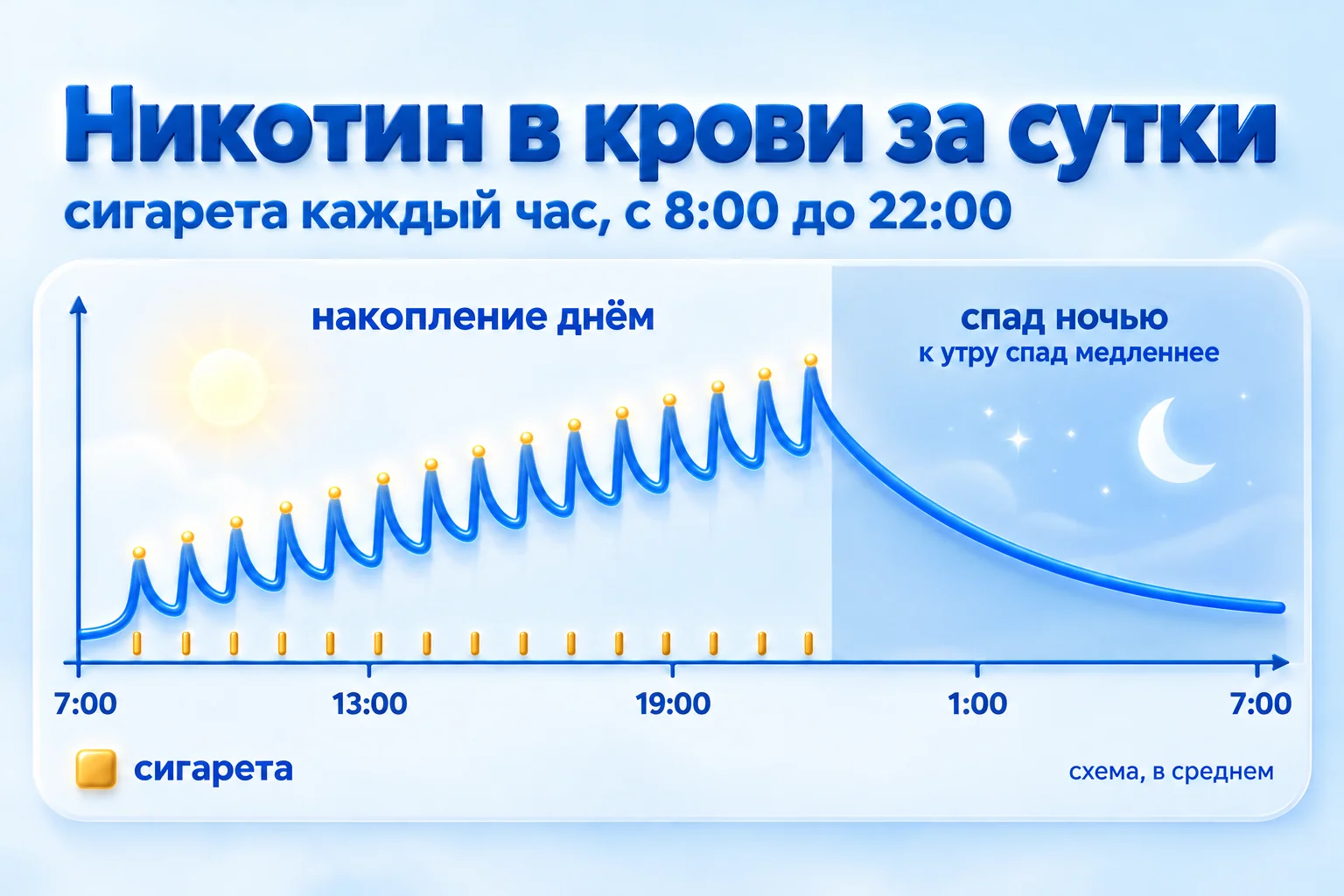 График: сколько никотин держится в крови за сутки при сигарете каждый час. Накопление днём, спад ночью
