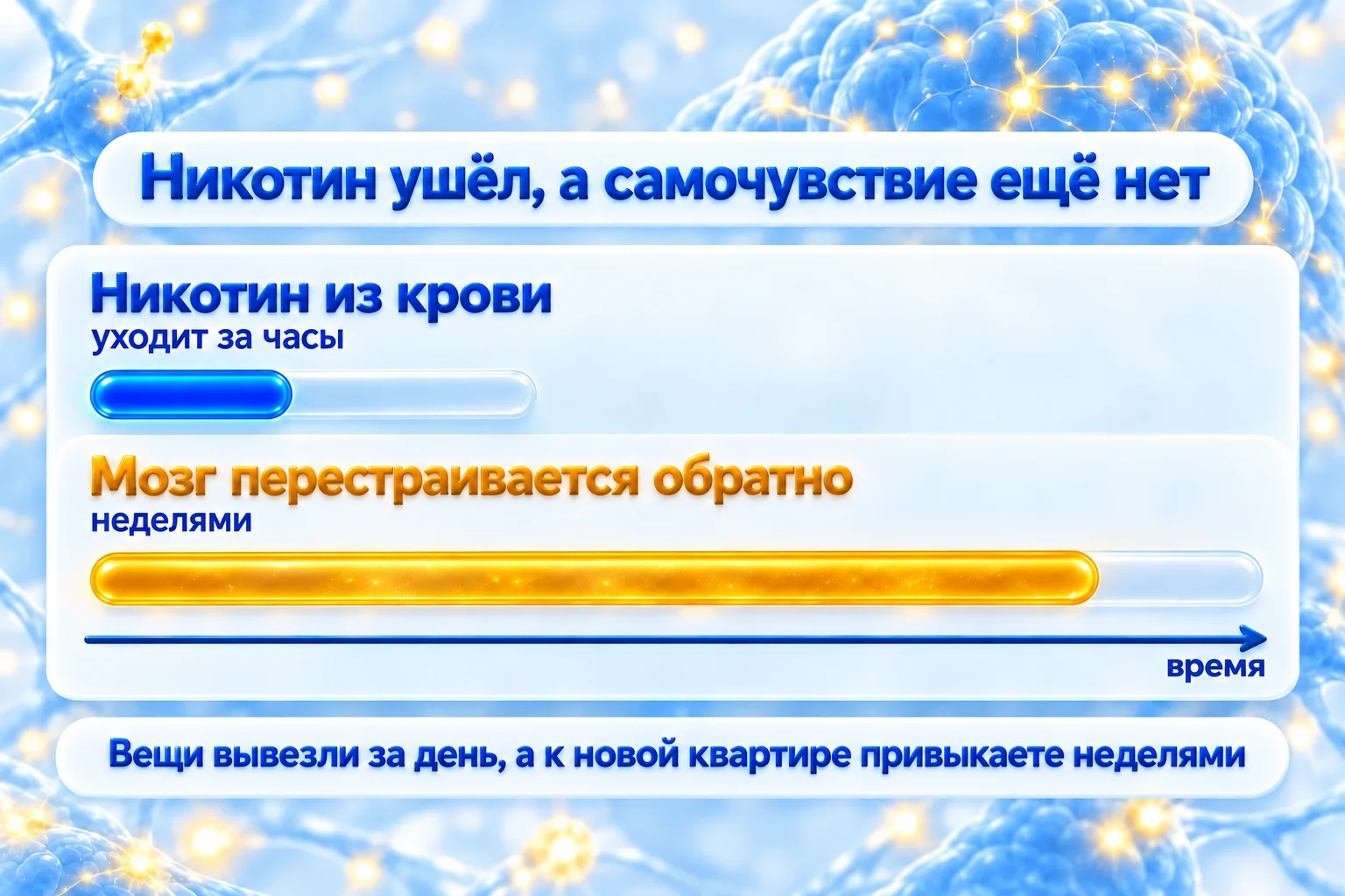 Никотин уходит из крови за часы, а мозг перестраивается обратно неделями