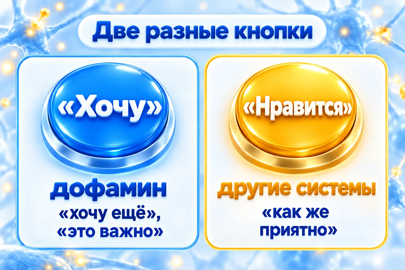Схема: дофамин отвечает за «хочу», а удовольствие «нравится» создают другие системы мозга