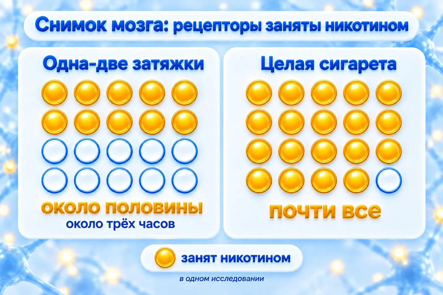 Почему днём сигарета ощущается слабее: одна-две затяжки занимают никотином около половины рецепторов, целая сигарета почти все