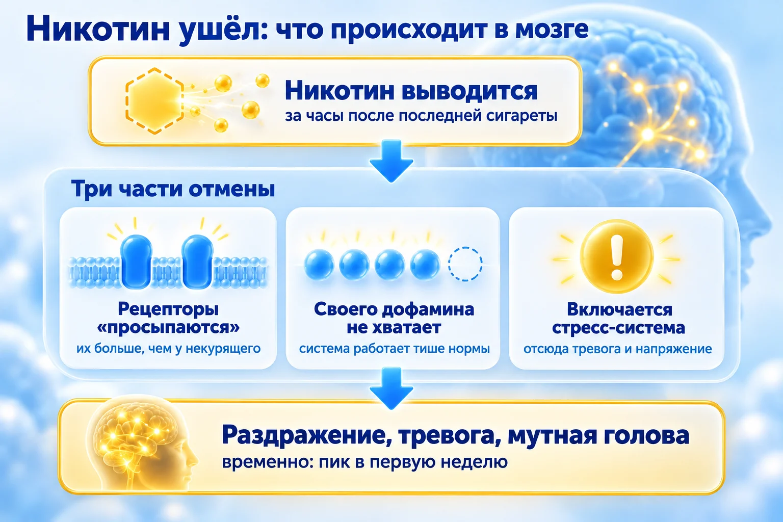Синдром отмены никотина: схема трёх частей отмены. Никотин выводится, рецепторы просыпаются, своего дофамина не хватает, включается стресс-система