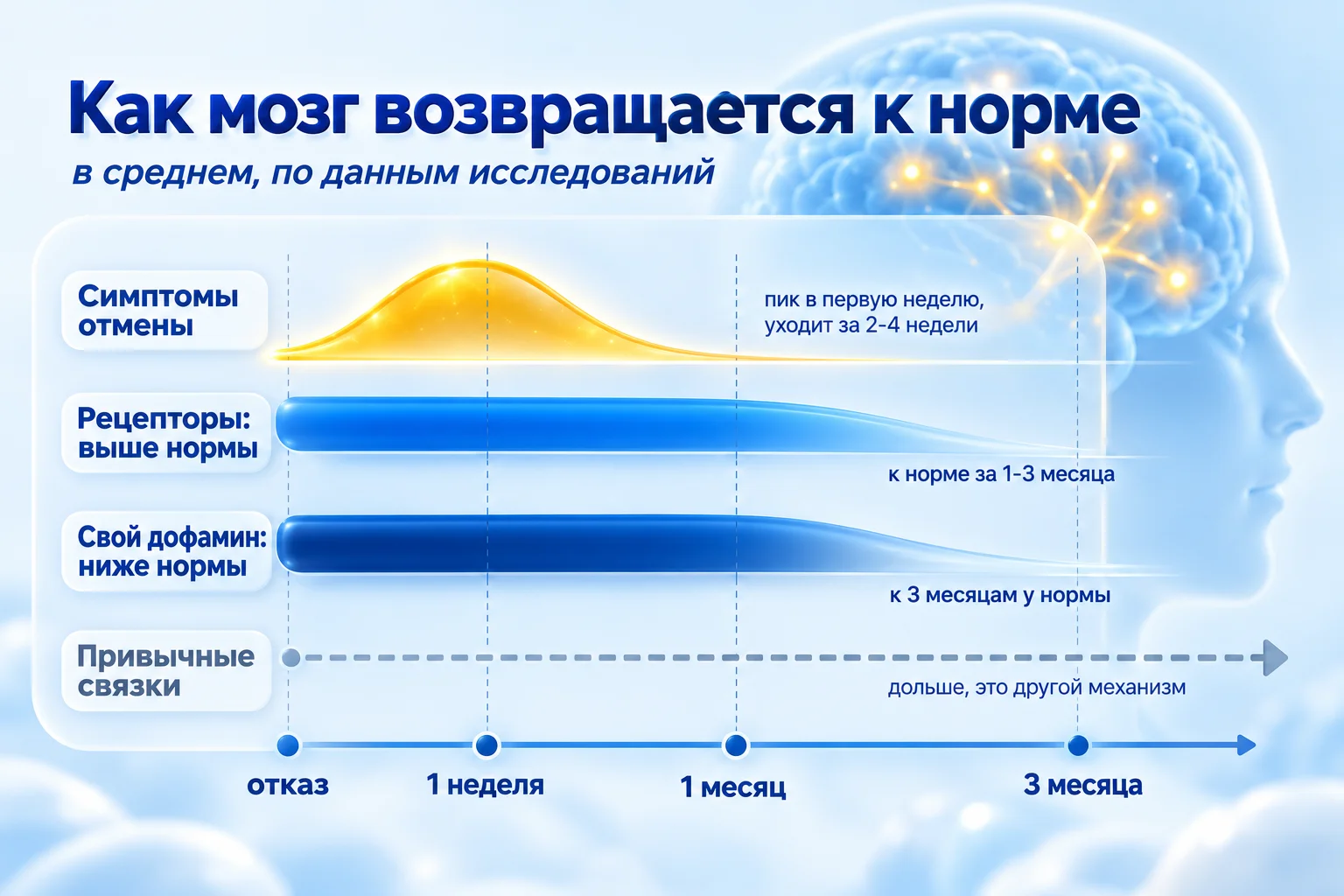 Когда восстанавливаются рецепторы и дофамин после отказа от курения: симптомы отмены, рецепторы, свой дофамин и привычные связки на одной шкале времени