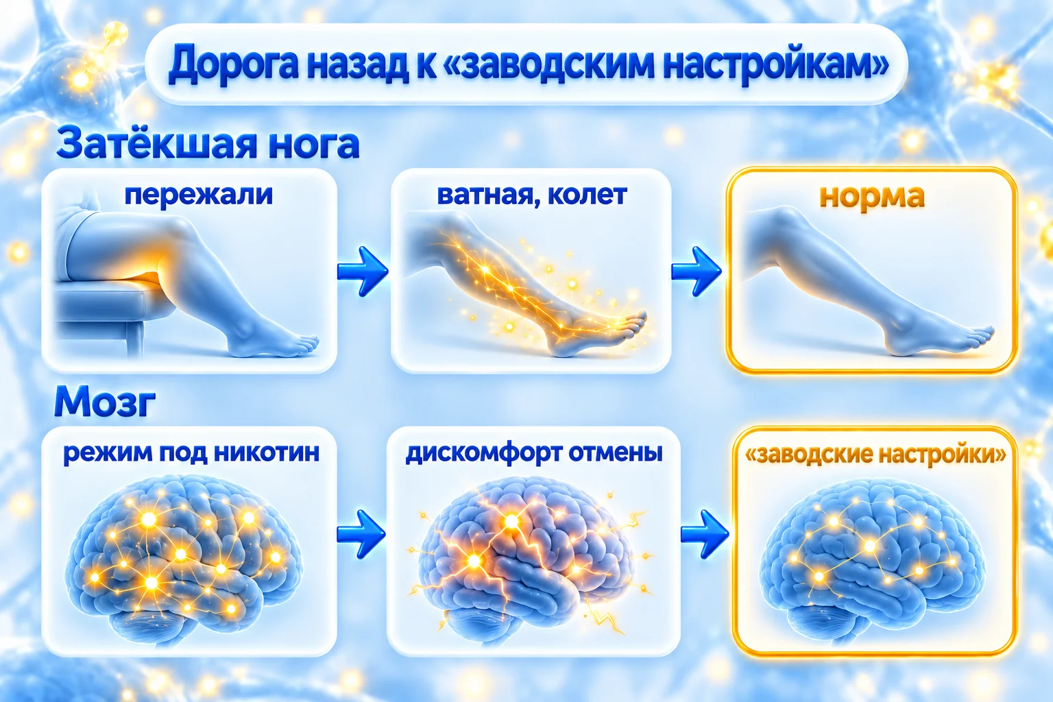 Синдром отмены как затёкшая нога: нога колет на пути к норме, мозг через дискомфорт отмены возвращается к заводским настройкам