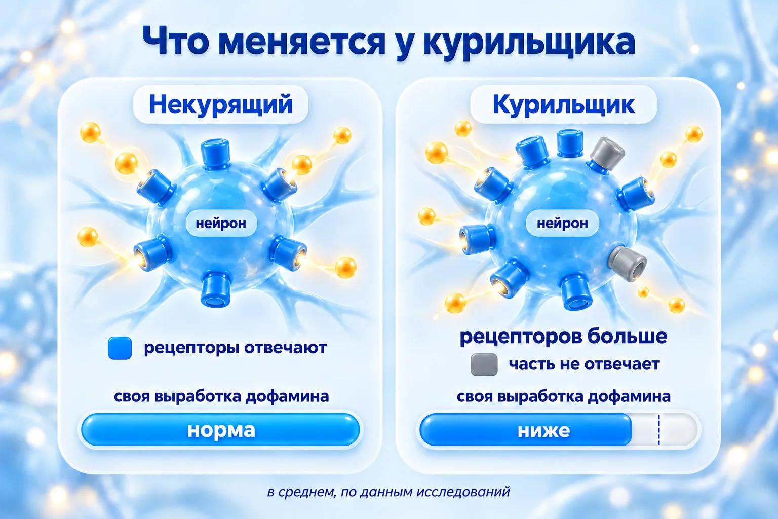 Толерантность к никотину: у курильщика рецепторов больше, часть из них не отвечает, своя выработка дофамина ниже, чем у некурящего
